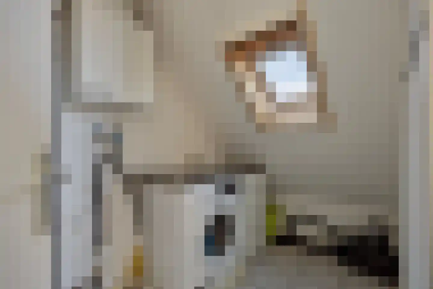 De Til 44 Koudekerk aan den Rijn thumbnail 47