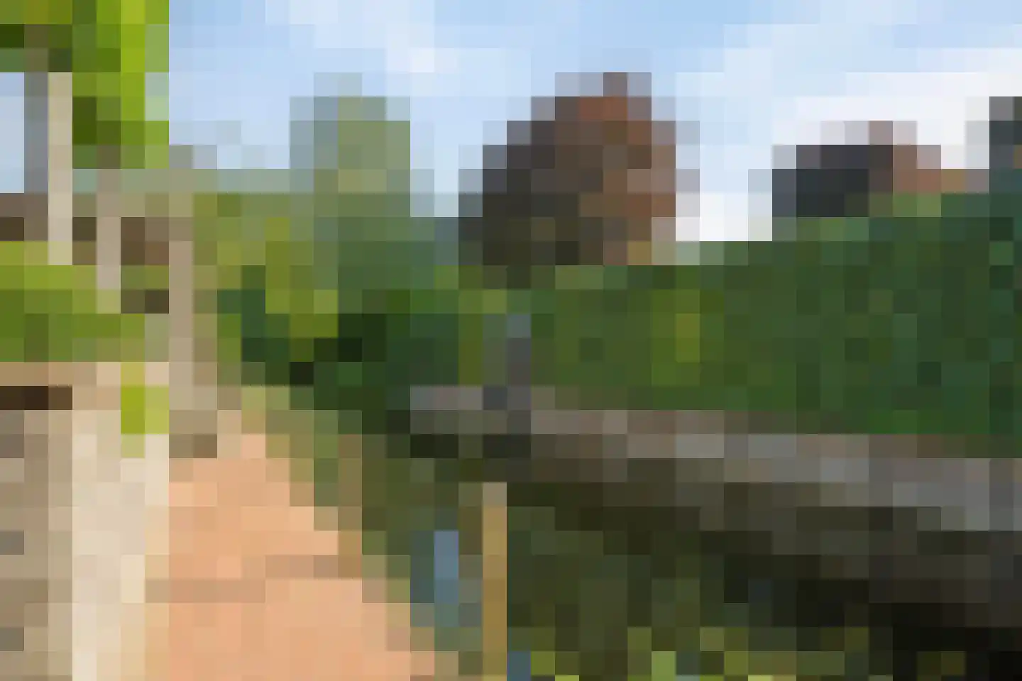 De Til 44 Koudekerk aan den Rijn thumbnail 52