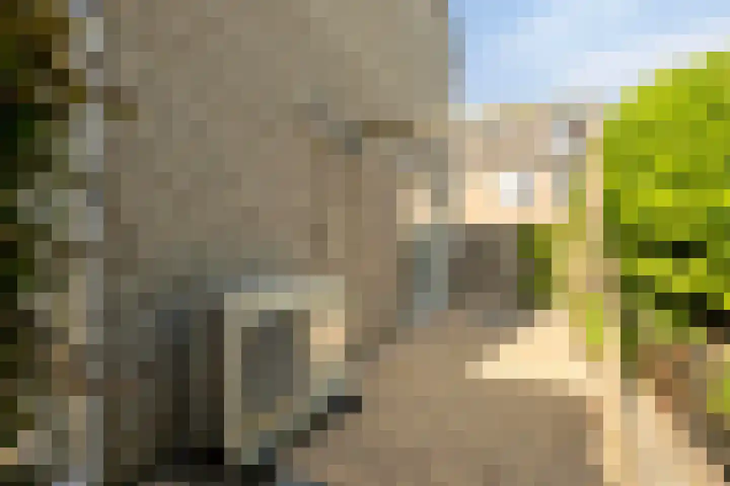 De Til 44 Koudekerk aan den Rijn thumbnail 57