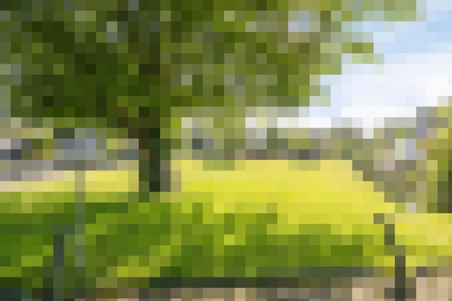 De Til 44 Koudekerk aan den Rijn thumbnail 63