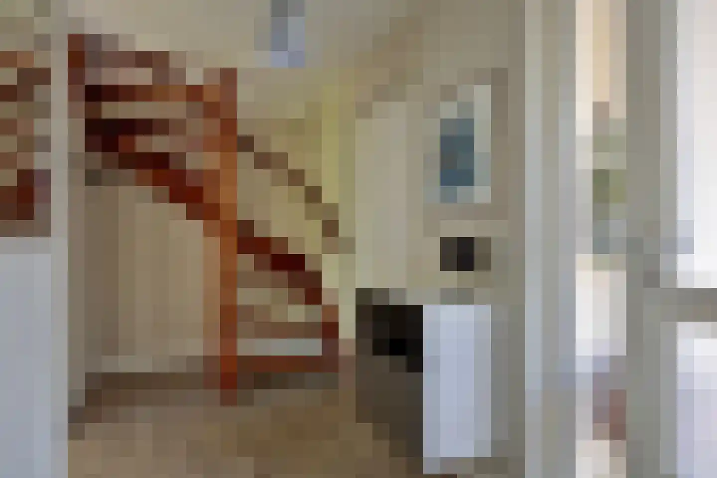 De Til 44 Koudekerk aan den Rijn thumbnail 9