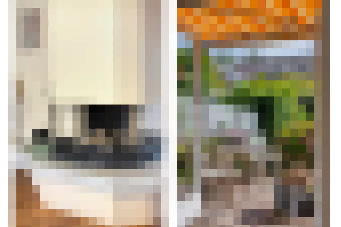 De Til 58 Koudekerk aan den Rijn thumbnail 15