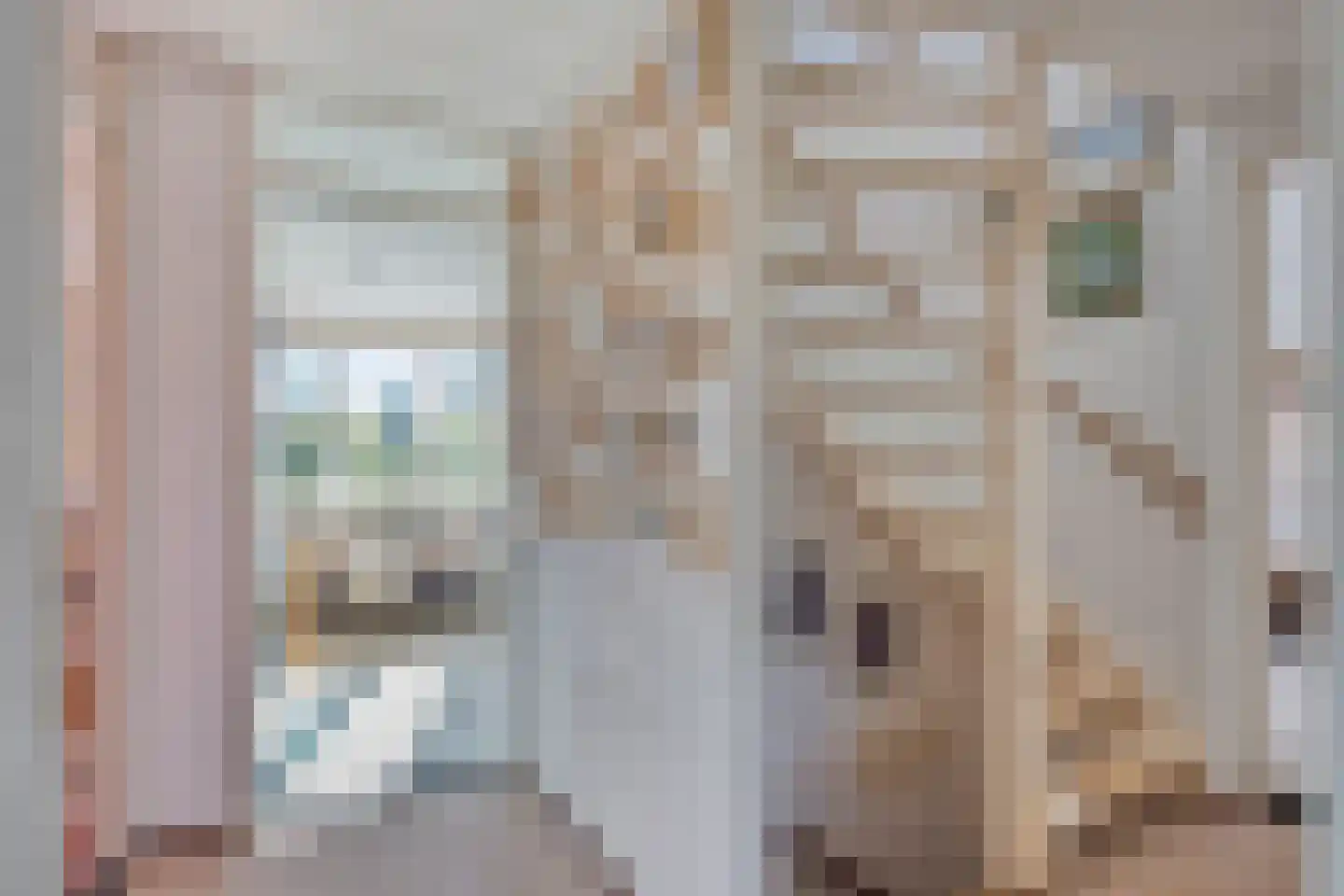 De Til 58 Koudekerk aan den Rijn thumbnail 18