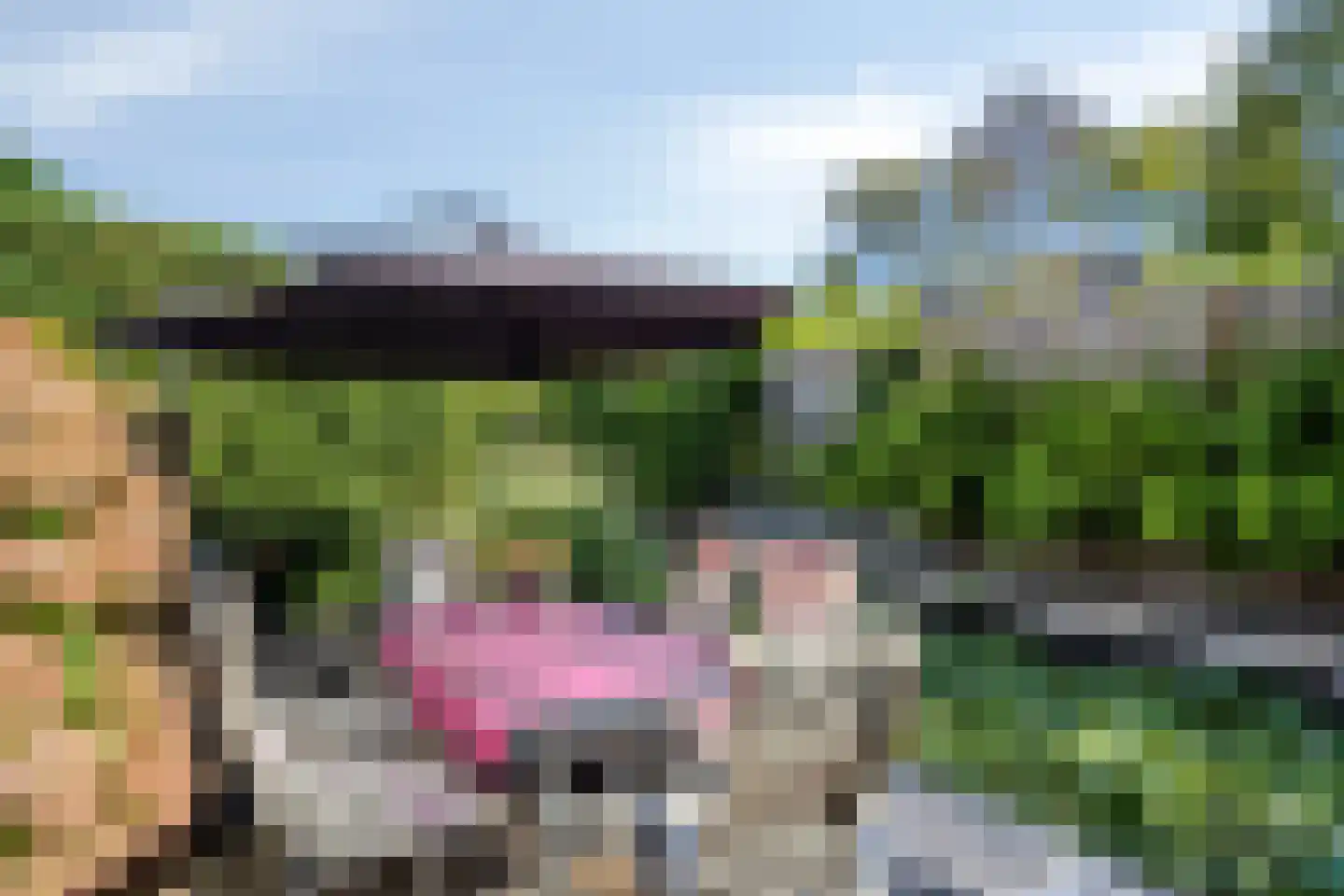 De Til 58 Koudekerk aan den Rijn thumbnail 40