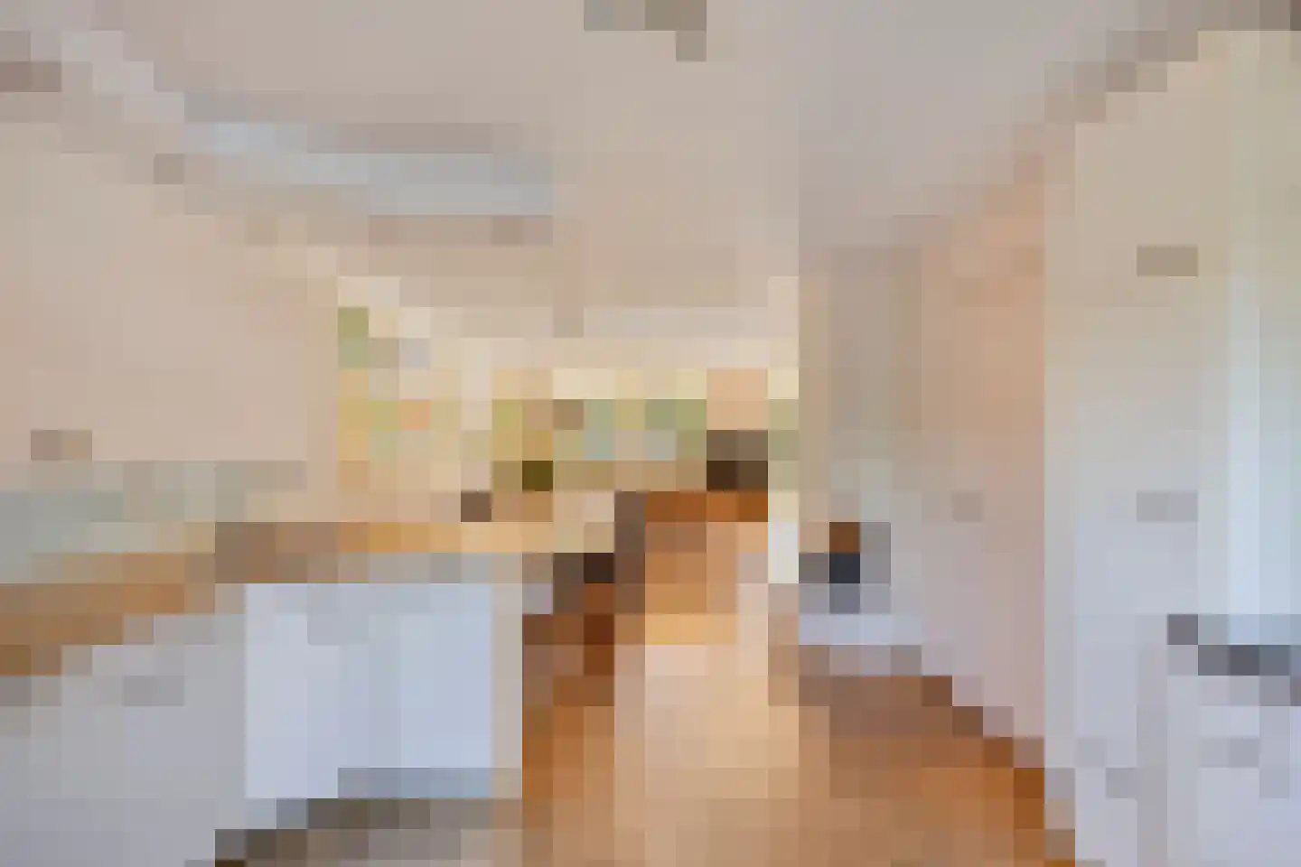 De Til 58 Koudekerk aan den Rijn thumbnail 9