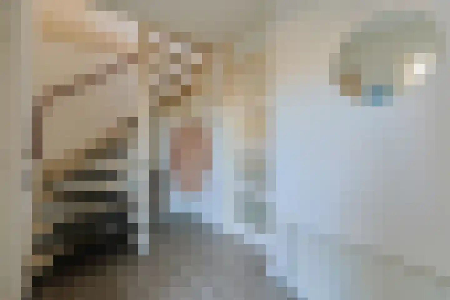 De Til 60 Koudekerk aan den Rijn thumbnail 10