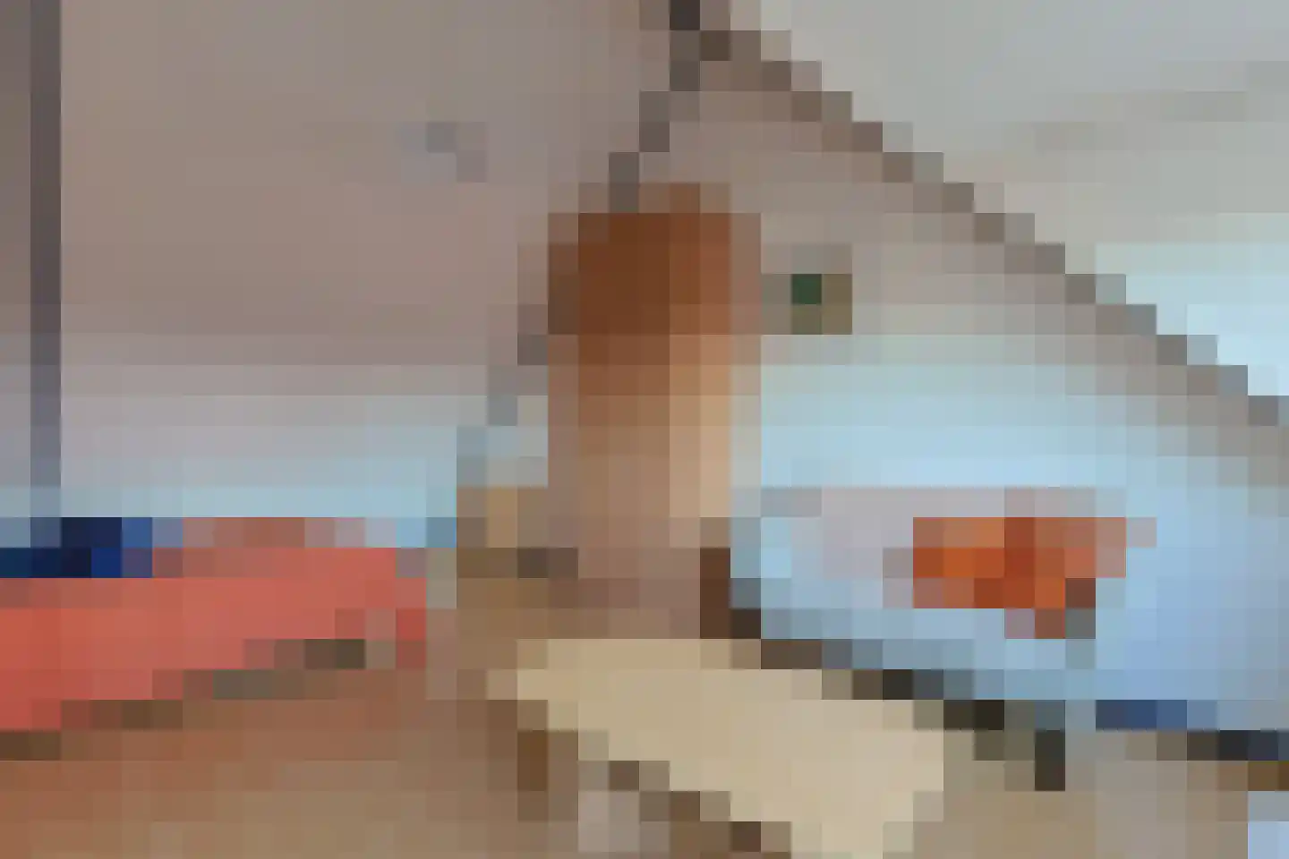 De Til 60 Koudekerk aan den Rijn thumbnail 41