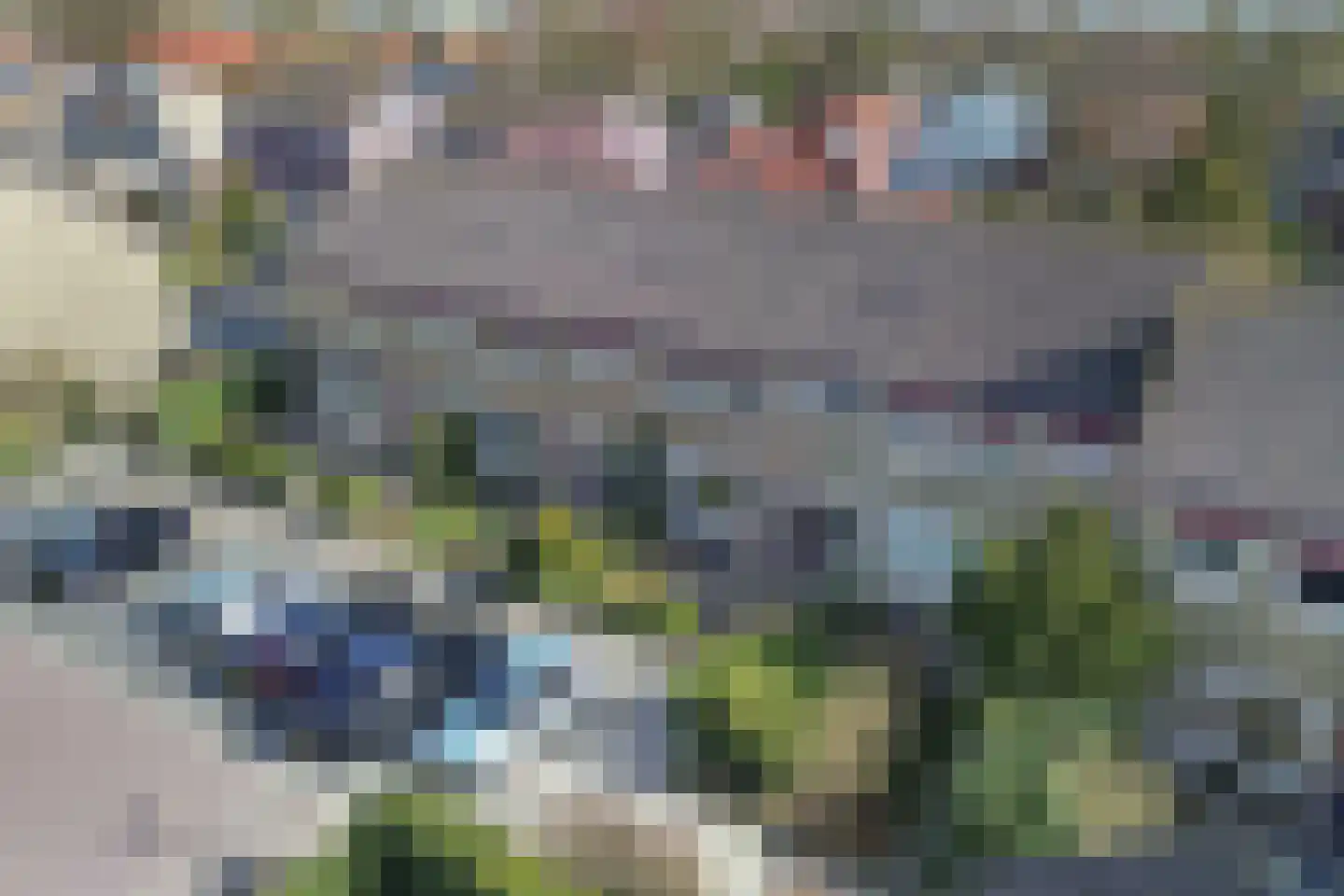 De Tilbarten 43 Goutum thumbnail 12