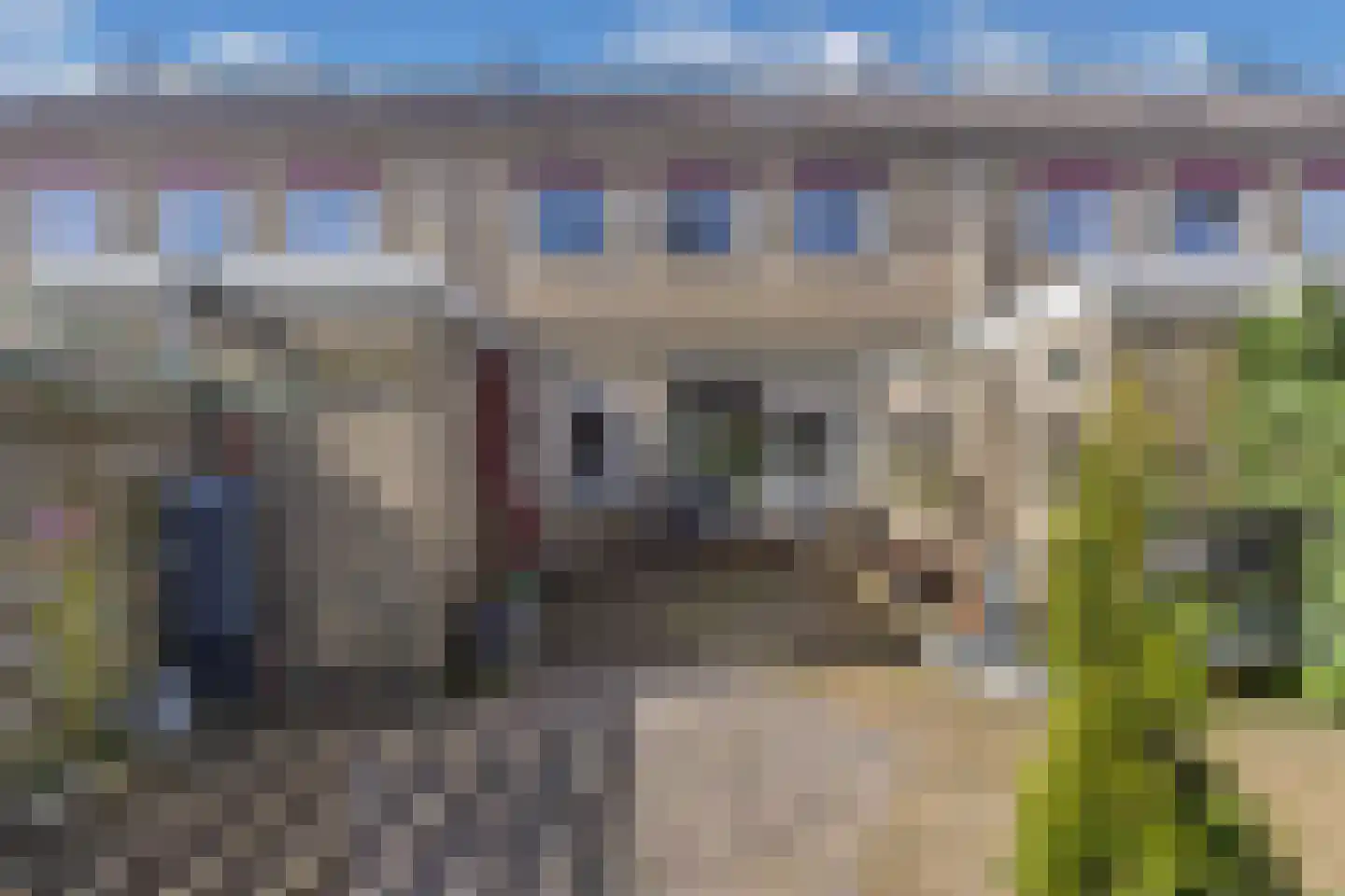 De Tilbarten 43 Goutum thumbnail 28