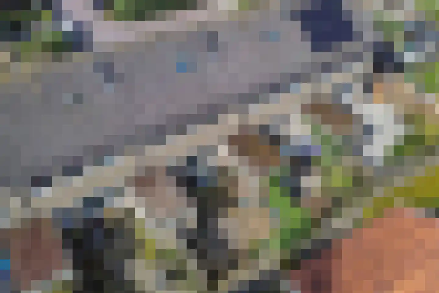 De Tilbarten 43 Goutum thumbnail 31