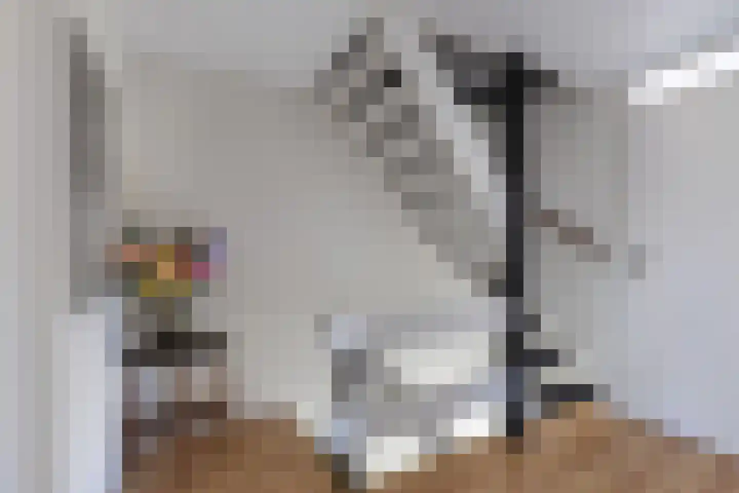 De Tilbarten 43 Goutum thumbnail 32