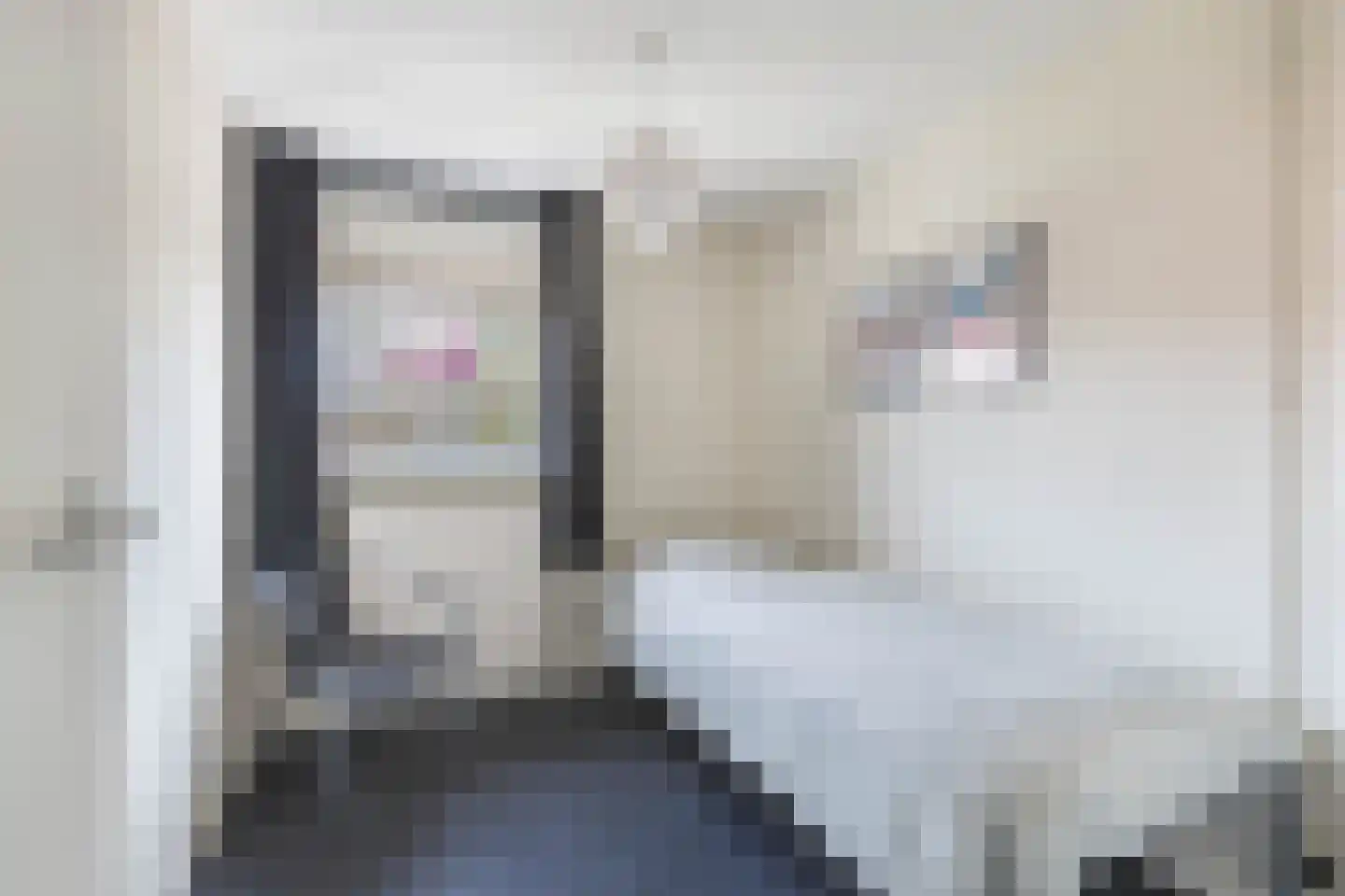 De Tilbarten 43 Goutum thumbnail 36