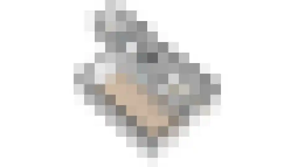 De Tilbarten 43 Goutum thumbnail 45