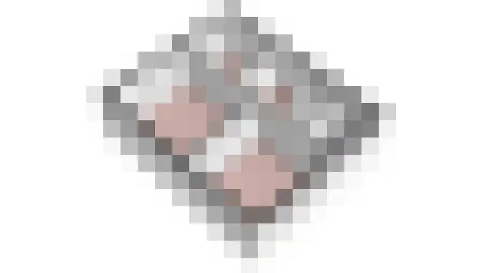 De Tilbarten 43 Goutum thumbnail 46