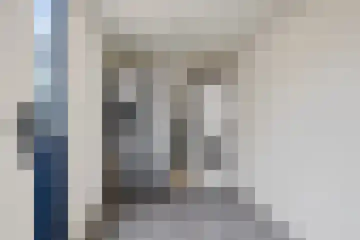 De Tilbarten 81 Goutum thumbnail 12