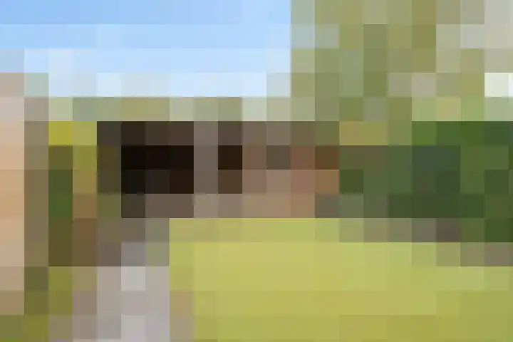 De Tilbarten 81 Goutum thumbnail 16