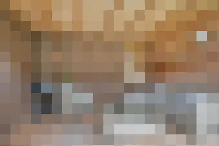 De Tilbarten 81 Goutum thumbnail 17