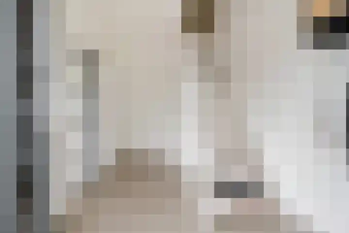 De Tilbarten 81 Goutum thumbnail 19