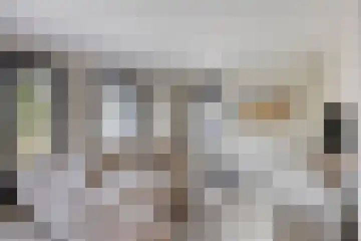 De Tilbarten 81 Goutum thumbnail 20