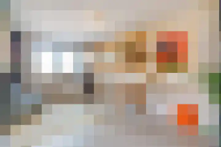 De Tilbarten 81 Goutum thumbnail 21
