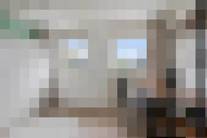 De Tilbarten 81 Goutum thumbnail 22