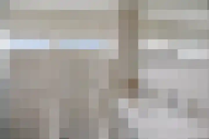 De Tilbarten 81 Goutum thumbnail 26
