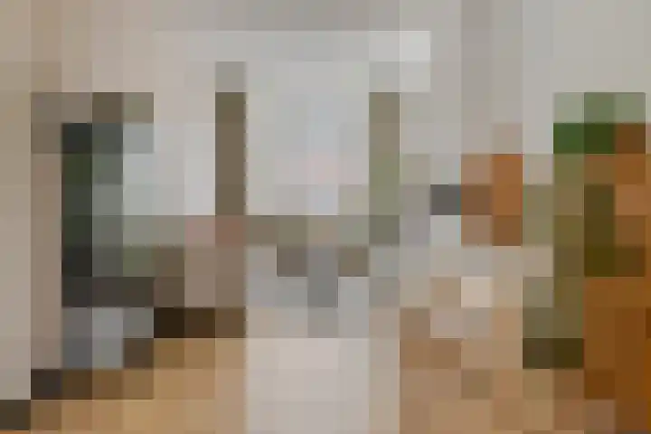 De Tilbarten 81 Goutum thumbnail 32