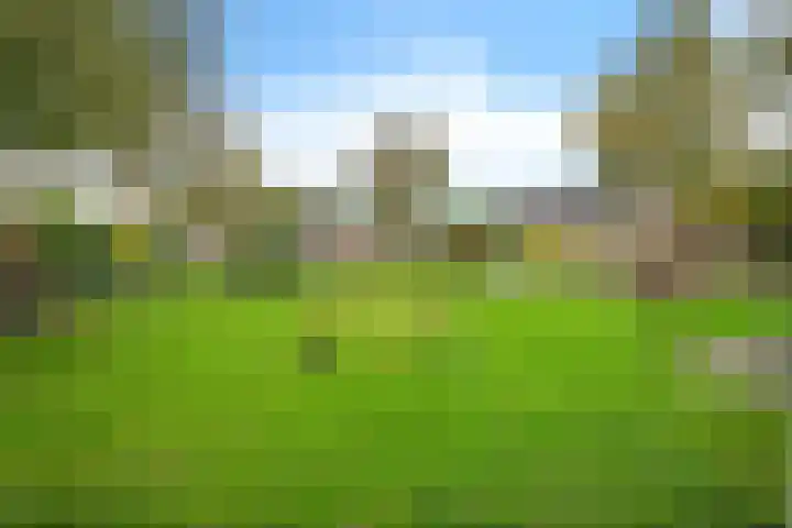 De Tilbarten 81 Goutum thumbnail 32