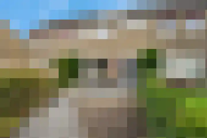 De Tilbarten 81 Goutum thumbnail 33