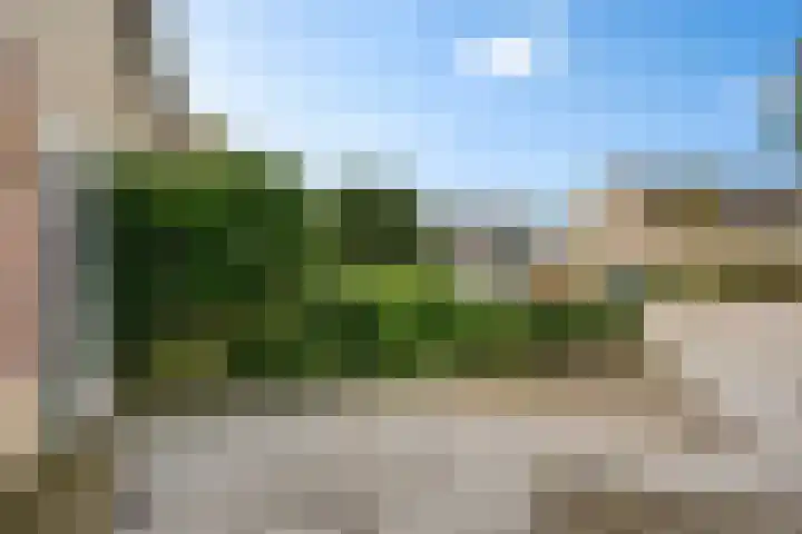 De Tilbarten 81 Goutum thumbnail 35