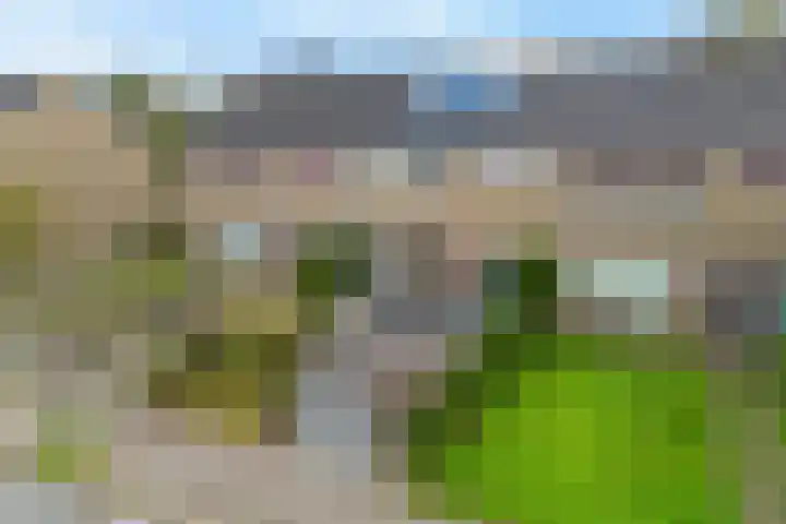 De Tilbarten 81 Goutum thumbnail 36
