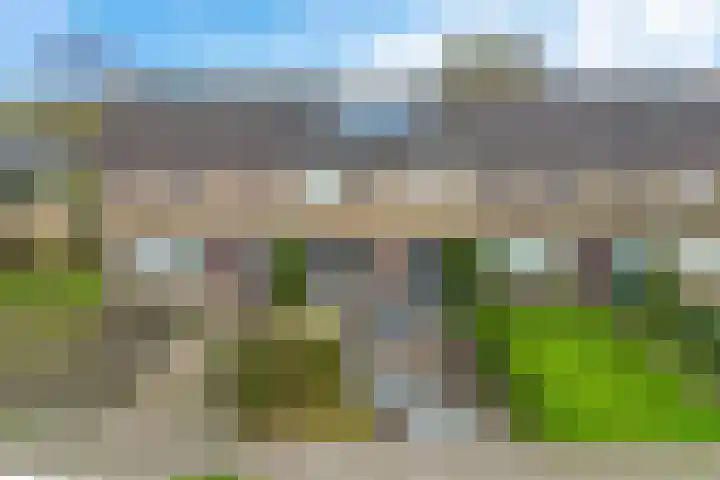 De Tilbarten 81 Goutum thumbnail 37