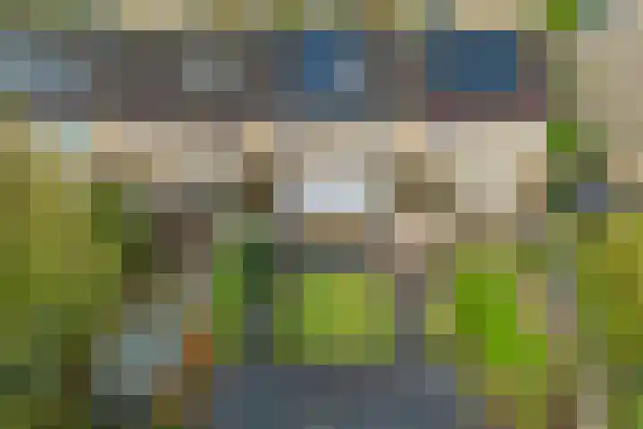 De Tilbarten 81 Goutum thumbnail 40