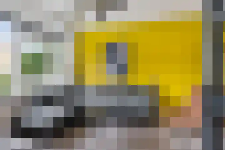 De Tilbarten 81 Goutum thumbnail 6