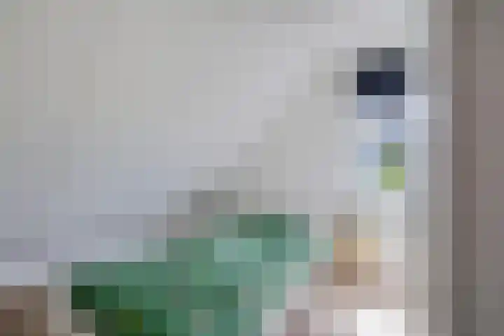 De Tille 17 Gytsjerk thumbnail 19