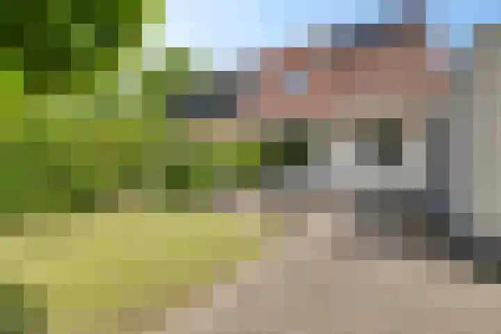De Tille 17 Gytsjerk thumbnail 29