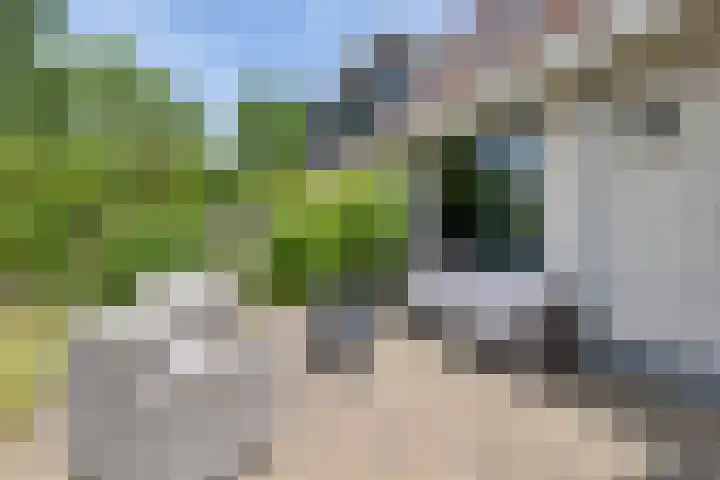 De Tille 17 Gytsjerk thumbnail 30
