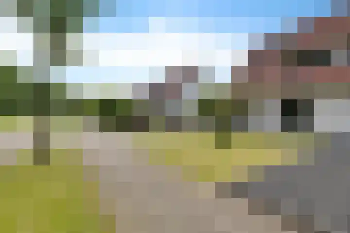 De Tille 17 Gytsjerk thumbnail 35