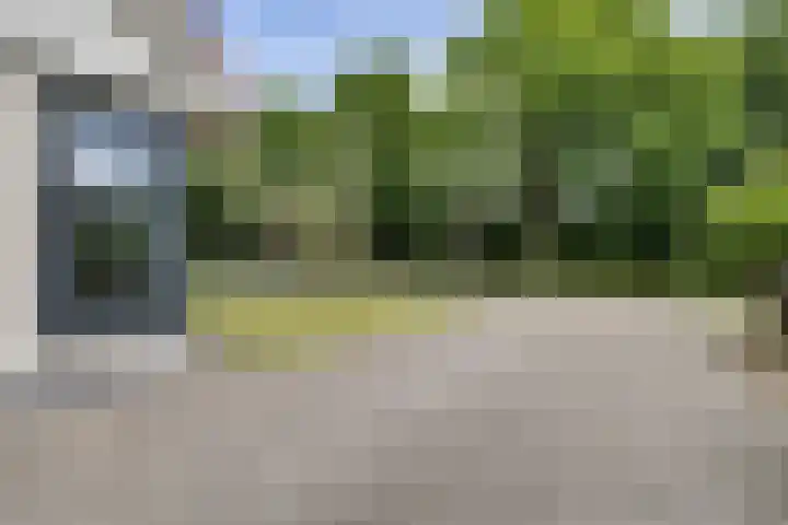 De Tille 17 Gytsjerk thumbnail 39