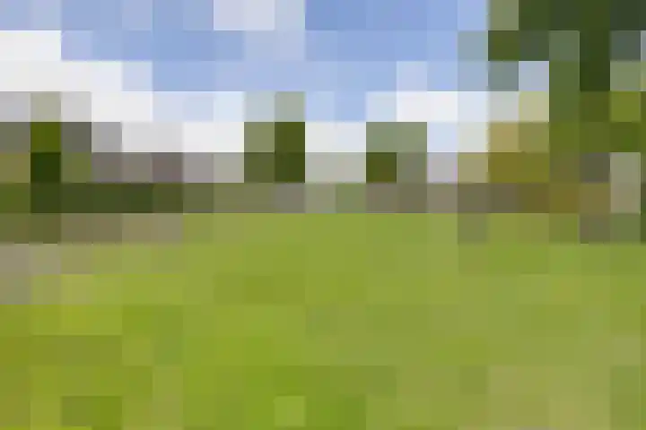 De Tille 17 Gytsjerk thumbnail 40