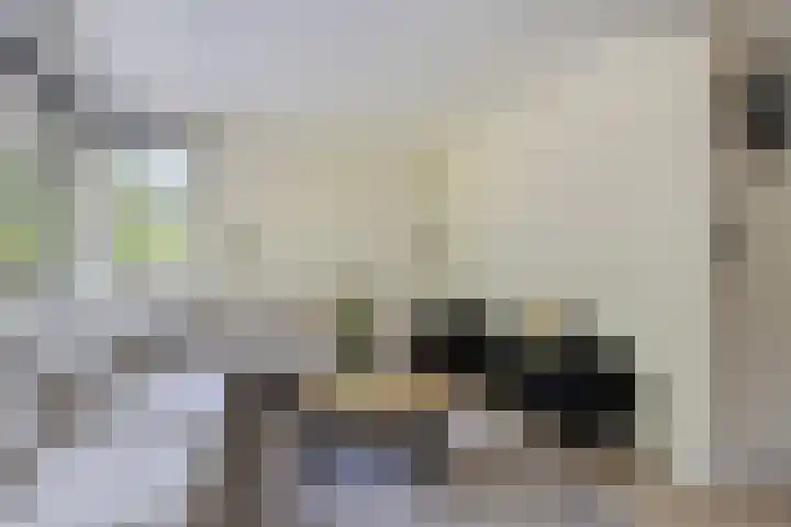 De Tille 17 Gytsjerk thumbnail 8