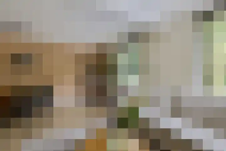 De Tille 17 Gytsjerk thumbnail 9