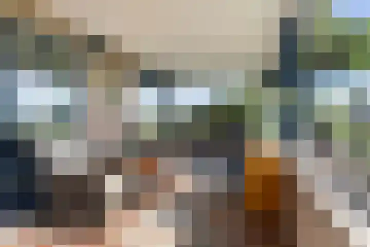 De Tille 18 Arum thumbnail 17