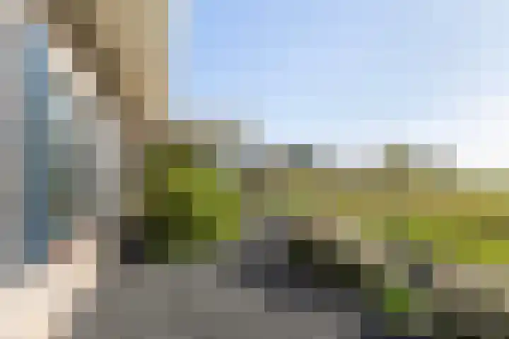 De Tille 18 Arum thumbnail 19