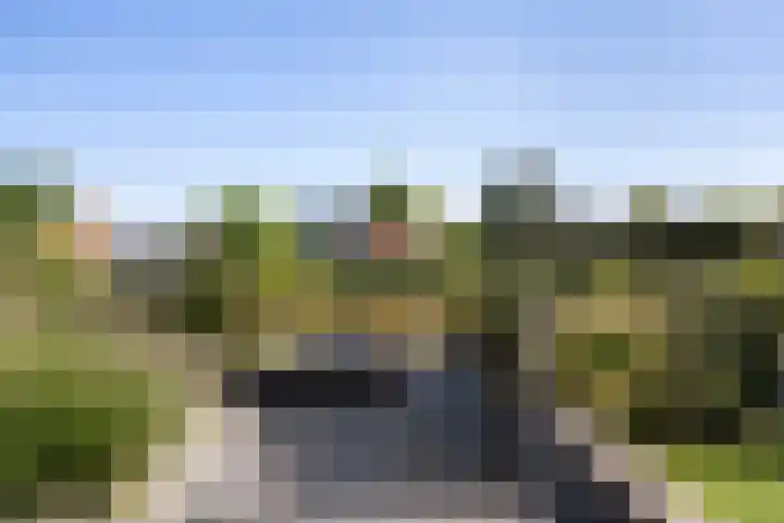 De Tille 18 Arum thumbnail 22