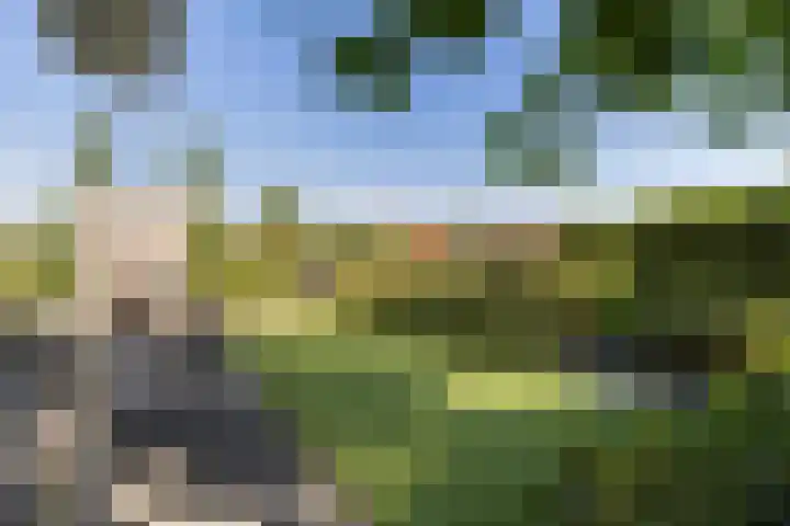 De Tille 18 Arum thumbnail 4