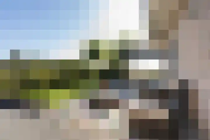 De Tille 18 Arum thumbnail 42