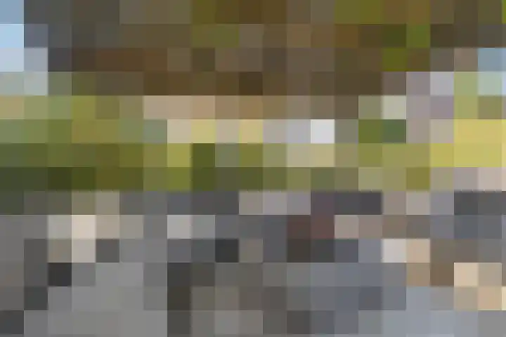 De Tille 18 Arum thumbnail 44