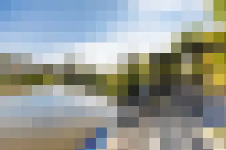 De Tille 18 Arum thumbnail 45