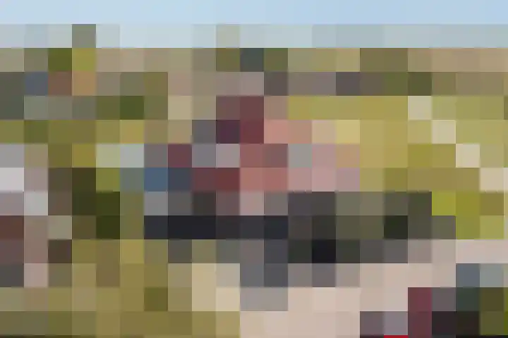 De Tille 18 Arum thumbnail 49